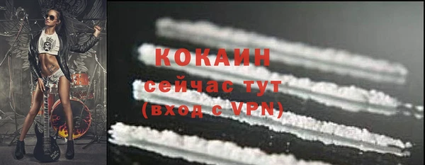сатива Армянск