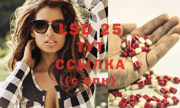 сатива Аркадак