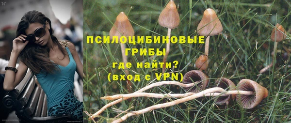 СК Арсеньев