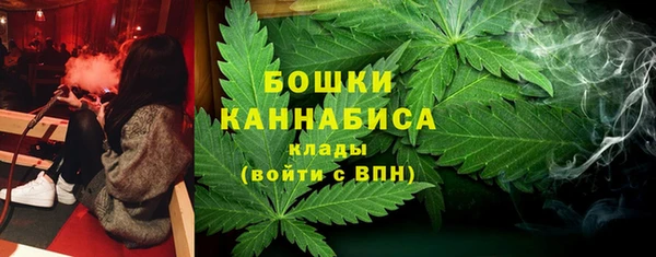 сатива Аркадак