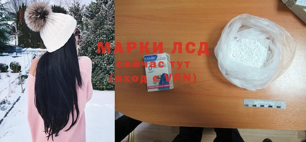 сатива Аркадак