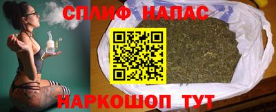 сатива Ставрополь