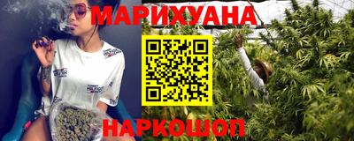 сатива Ставрополь