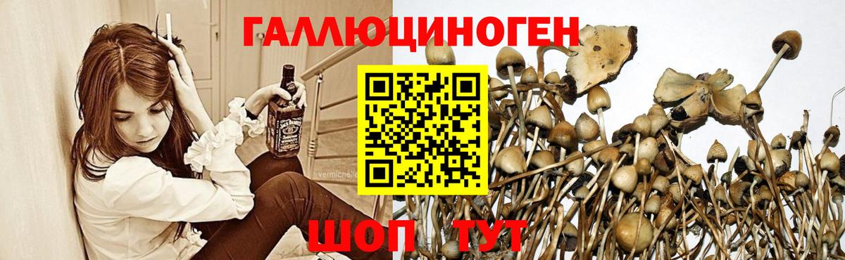 Галлюциногенные грибы Cubensis  где купить наркоту  Полевской  Вход с VPN 